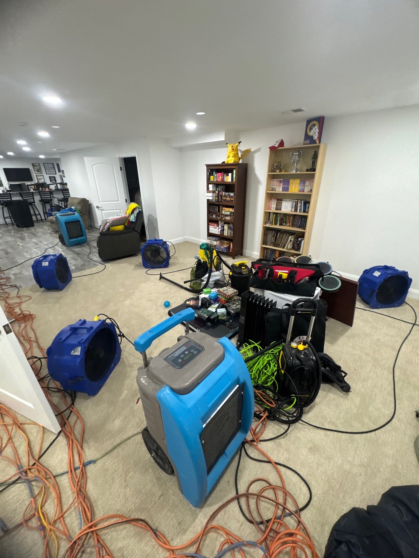 Dehumidification and air circulation setup for moisture removal in mold remediation work.