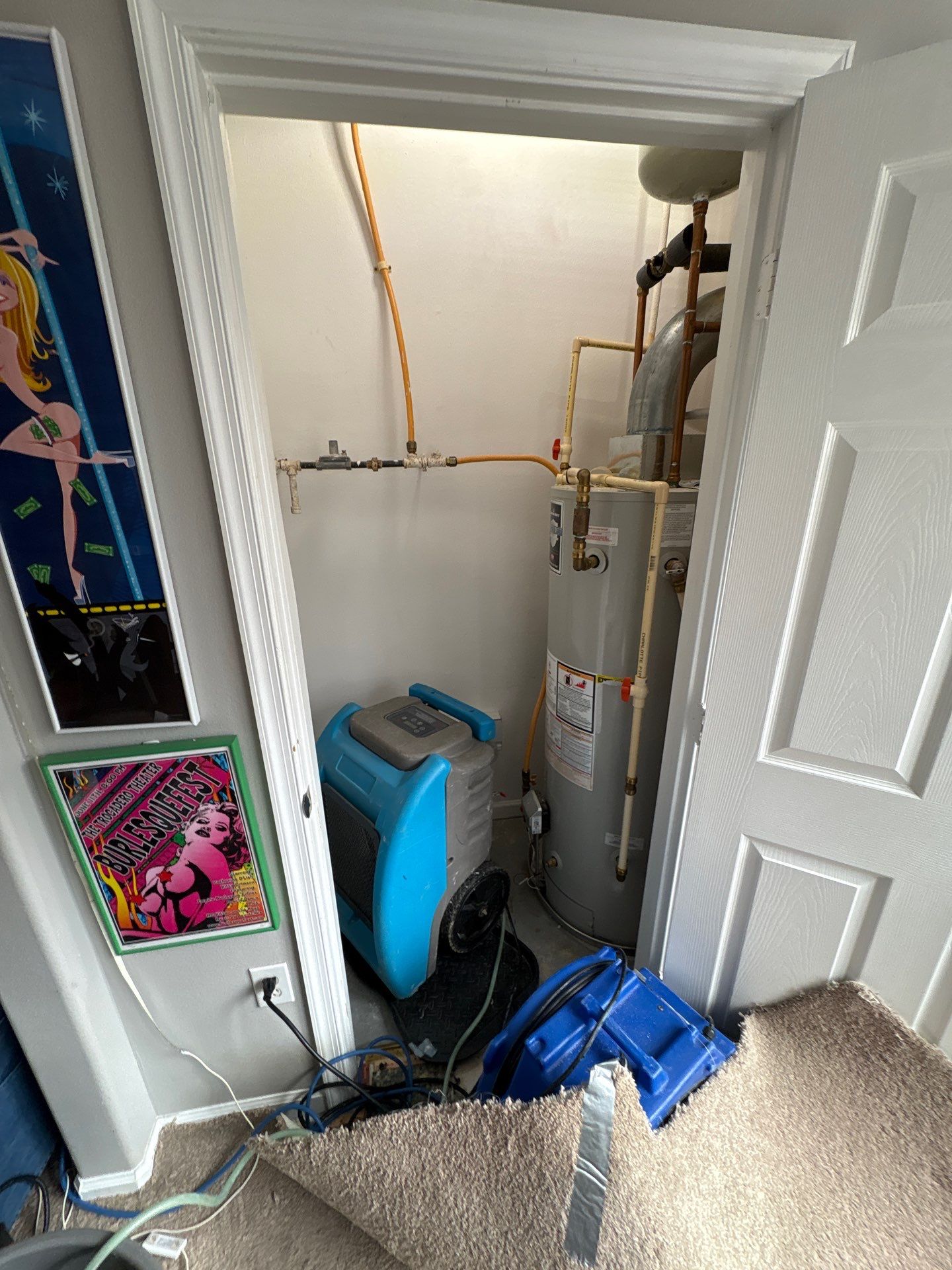 Thermal imaging data collection continuing across affected building materials.