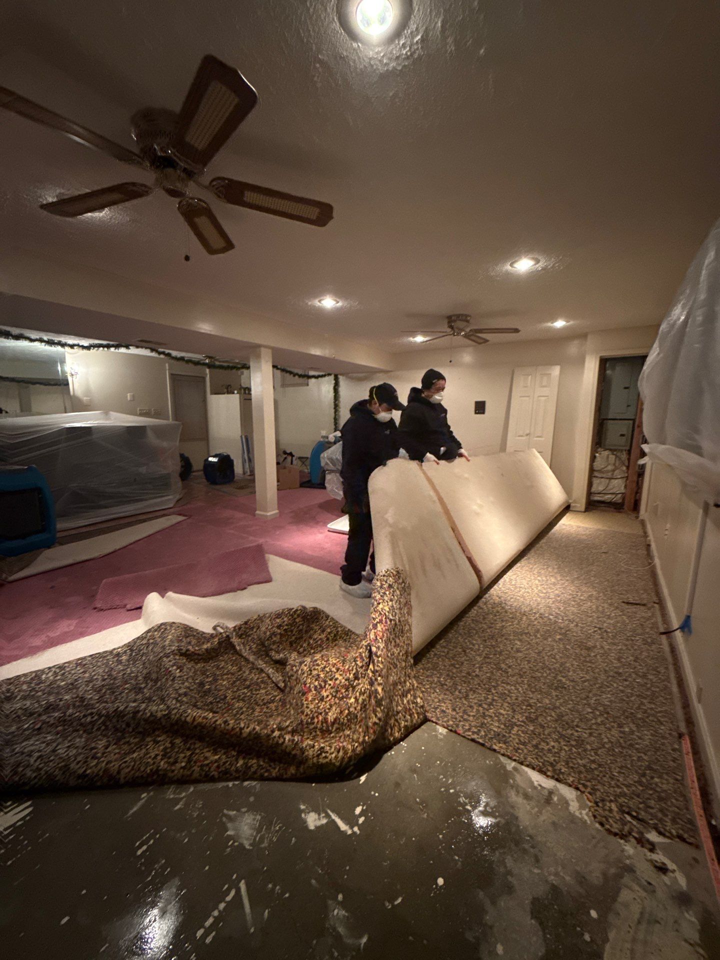 Standing water extraction underway in Bowie water damage restoration, carpet and flooring saturated.