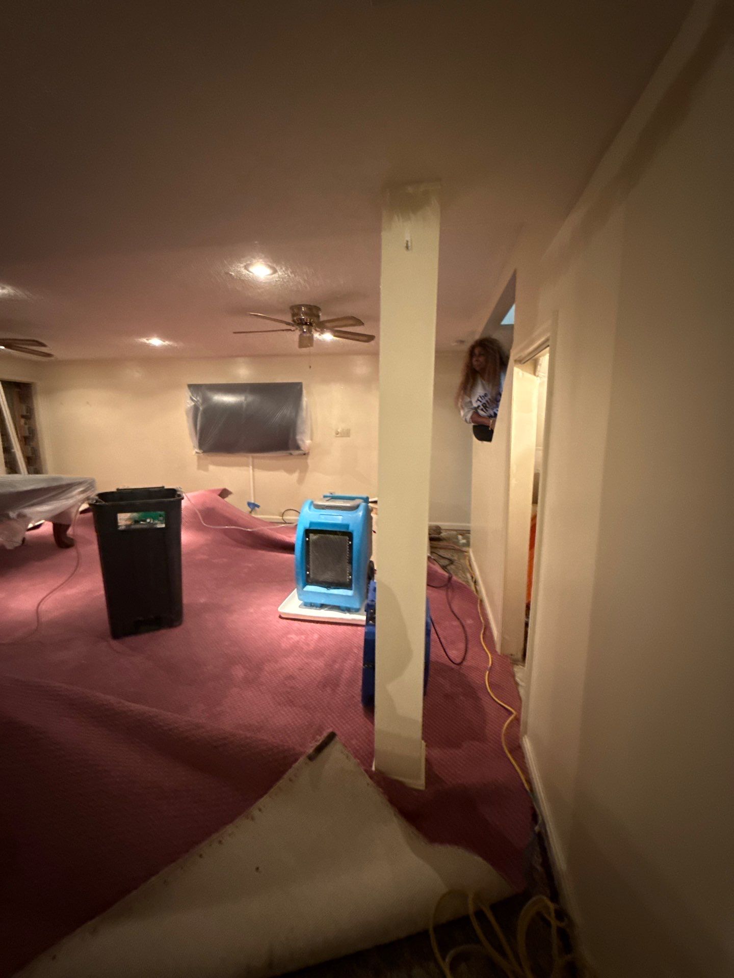 Restoration site prepared for flooring reinstallation after water damage mitigation complete.