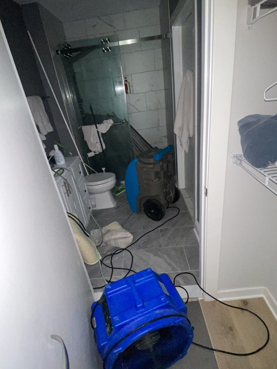 Wet carpet and flooring materials staged for remediation and disposal.