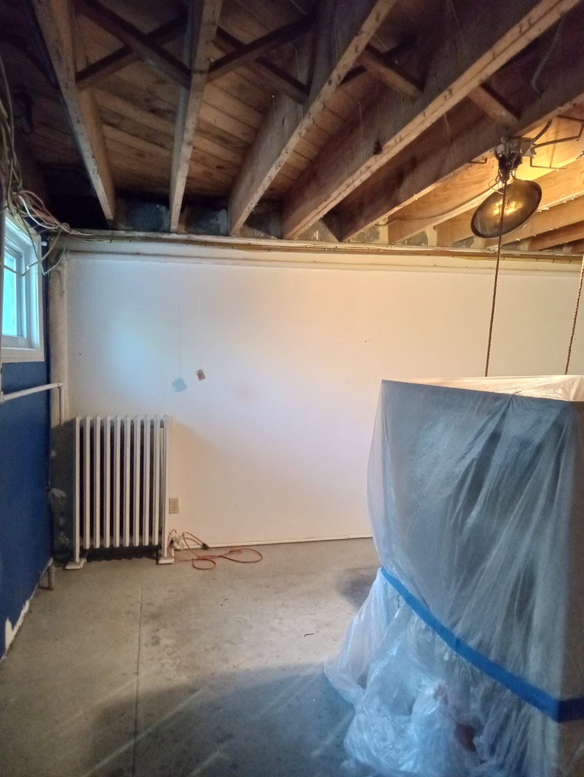 Mid-stage moisture removal and drying setup for mold remediation in Washington.
