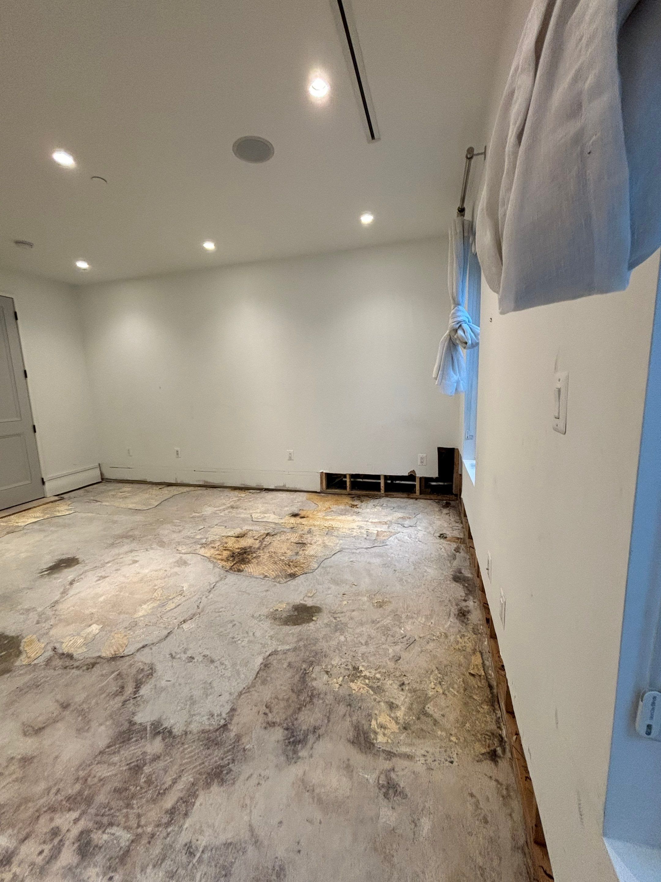 Water damage restoration in Washington: initial assessment showing wet structural materials and drying equipment setup.