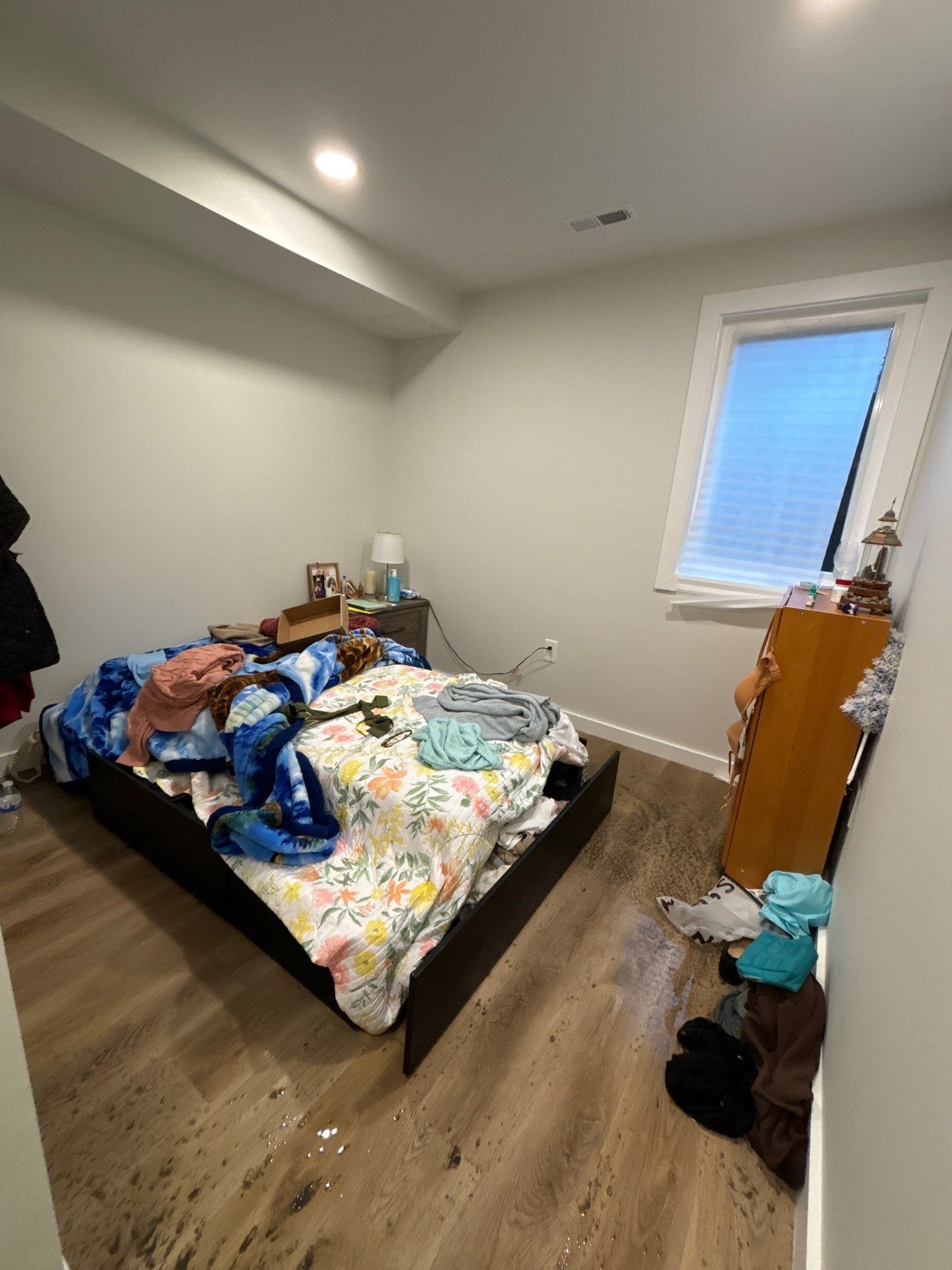 Restored ceiling and flooring in Washington, water damage restoration project completion.