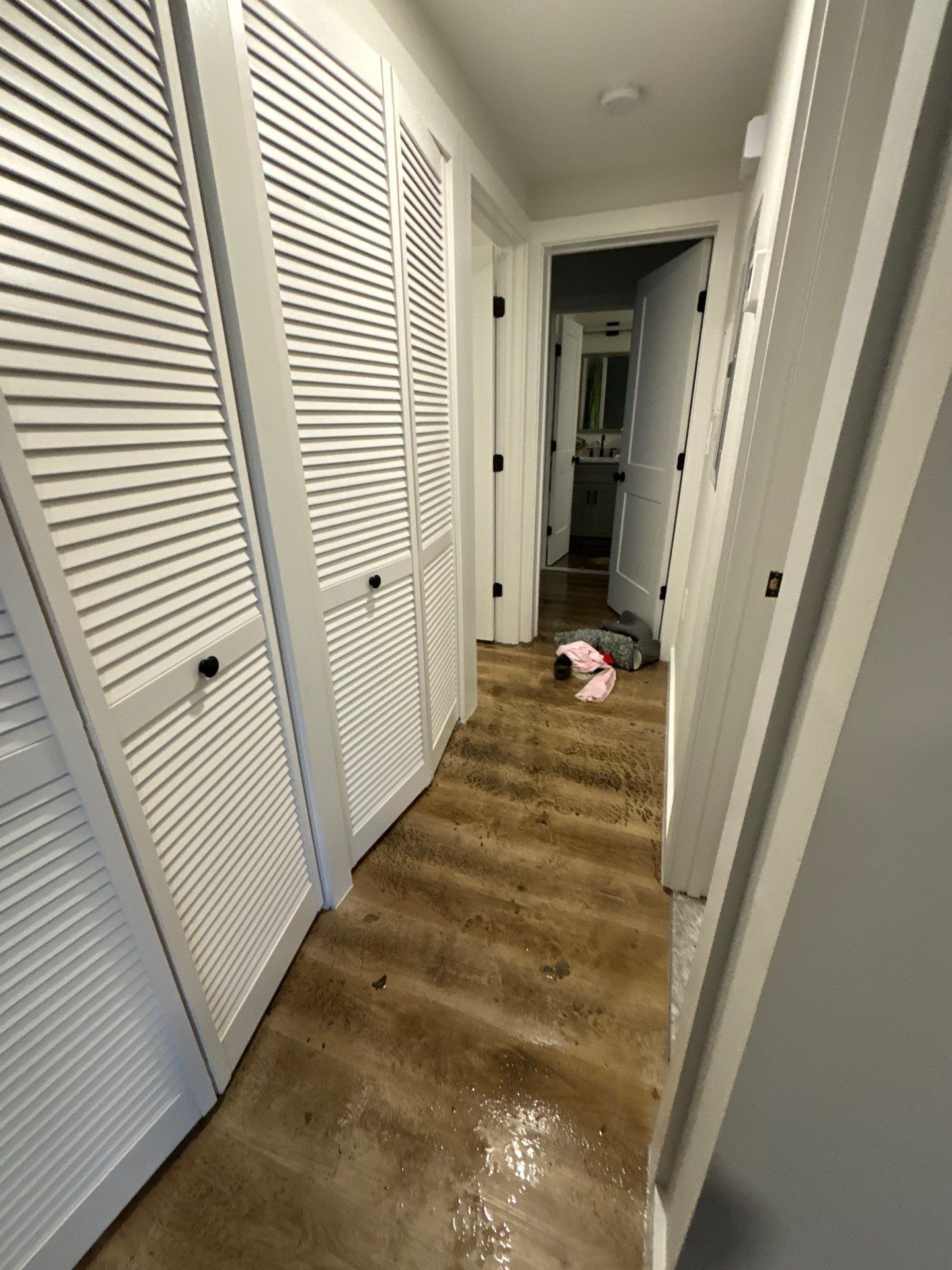 Ceiling damage assessment during water restoration, structural inspection of affected materials.