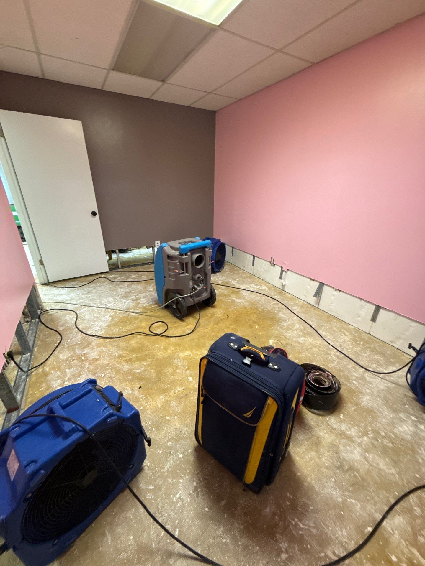Thermal imaging reveals moisture patterns during mold remediation inspection in Clinton.