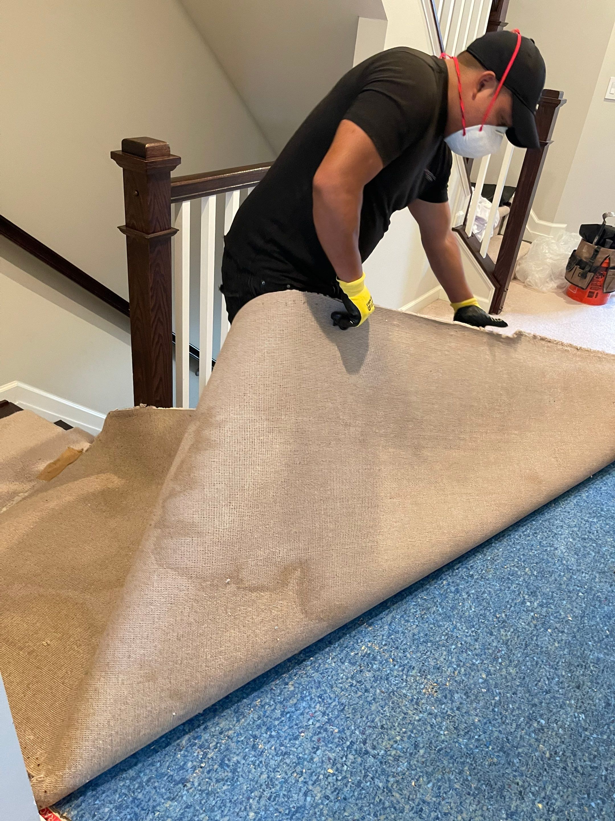 Final-stage mold remediation in Oxon Hill with equipment staged for completion and sanitizing verification.