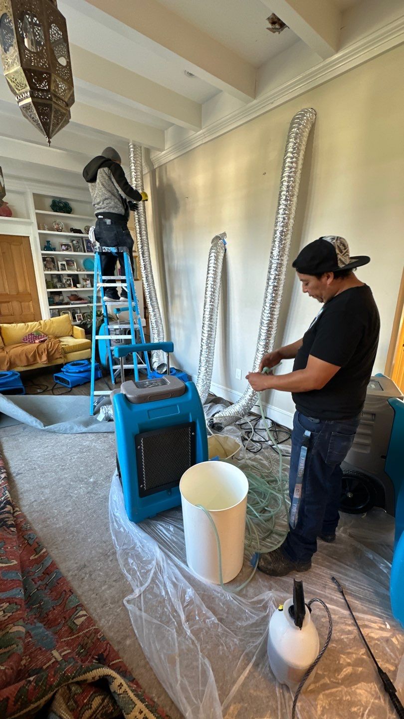 Continued dehumidification and structural drying as mold remediation progresses.