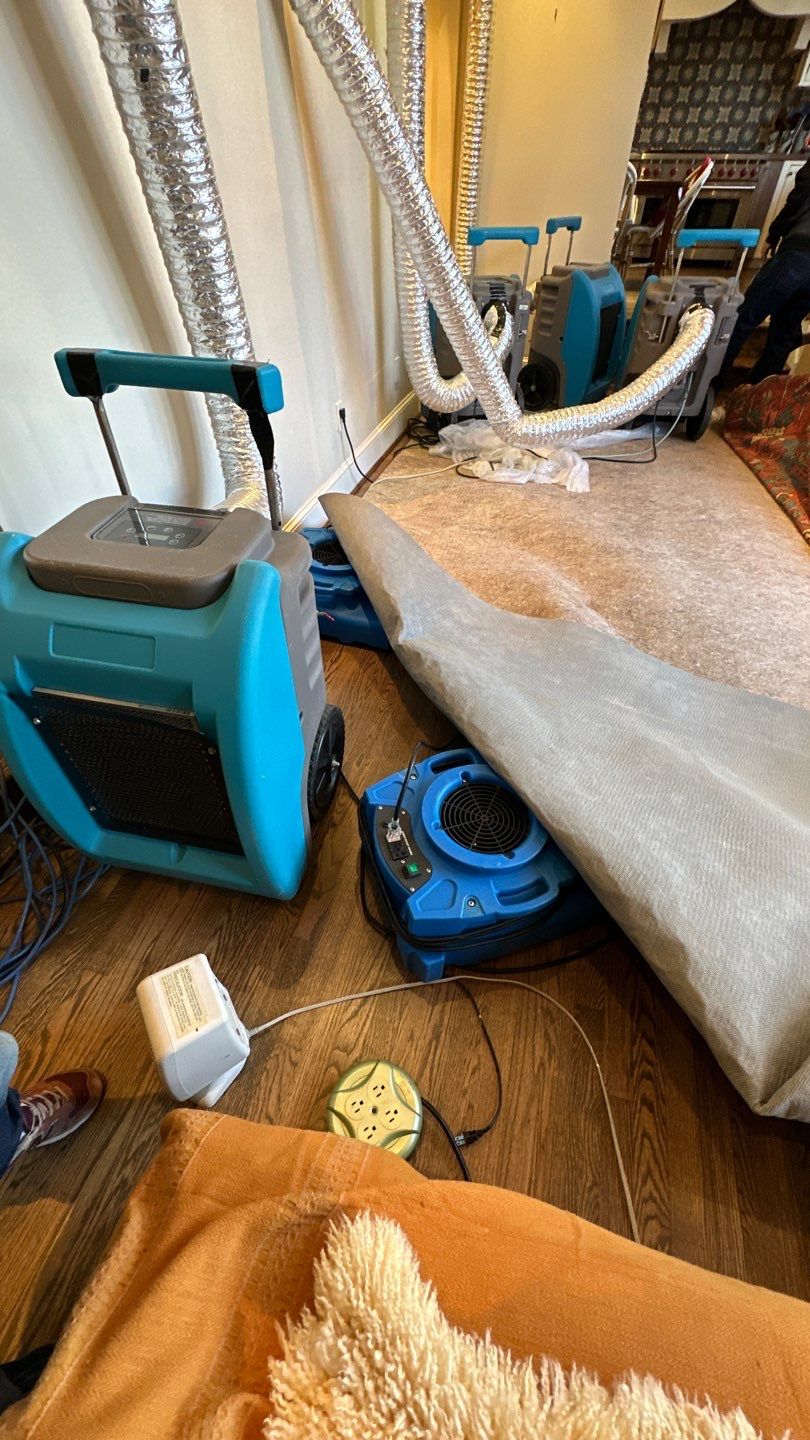Final-stage drying equipment during completion of mold remediation in Washington.