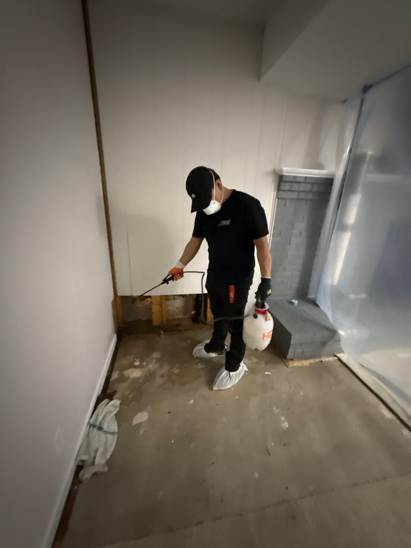 Replacement wall framing installed as part of structural restoration in the mold remediation process.