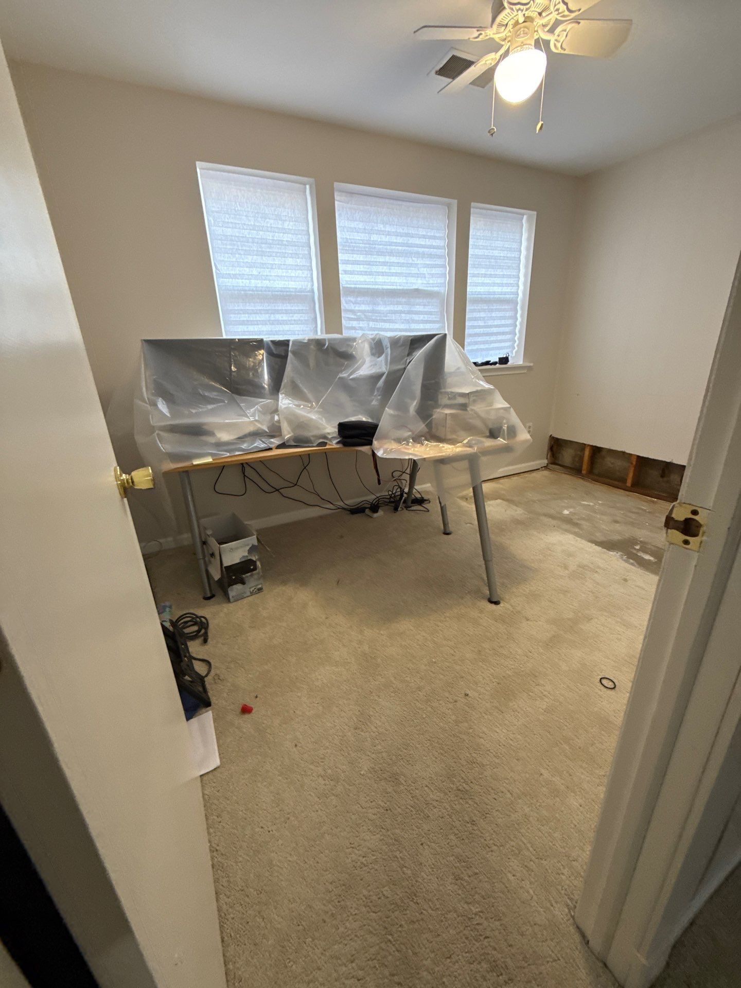 Containment and drying setup showing negative air management during active mold remediation work.