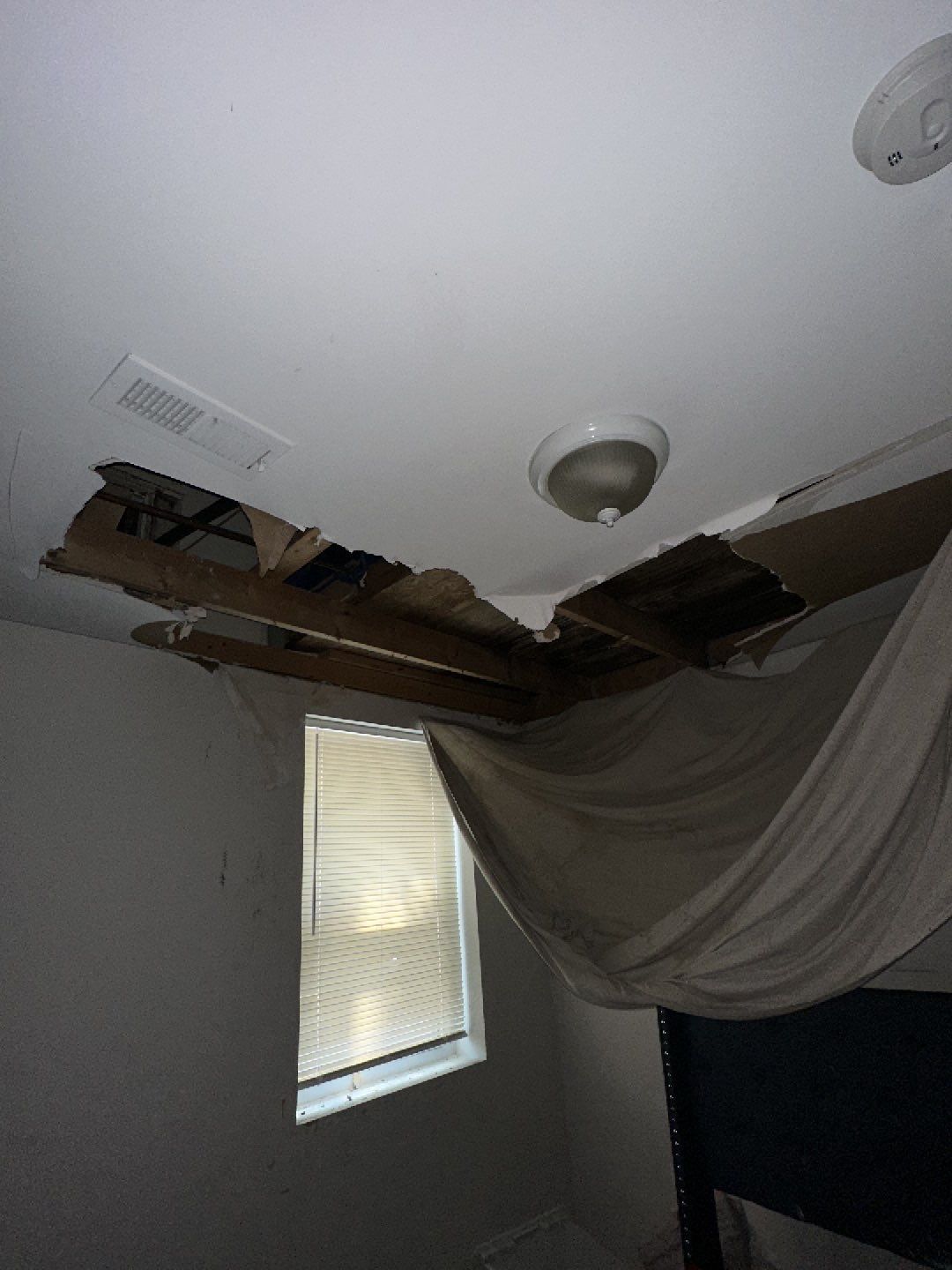 Initial mold remediation assessment in Washington showing standing water and wet structural materials requiring extraction and drying.