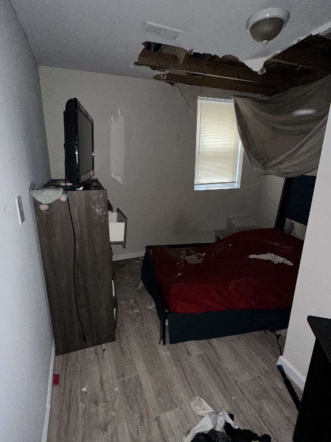 Final-stage structural drying in Washington mold remediation, confirming moisture levels returned to safe baseline.