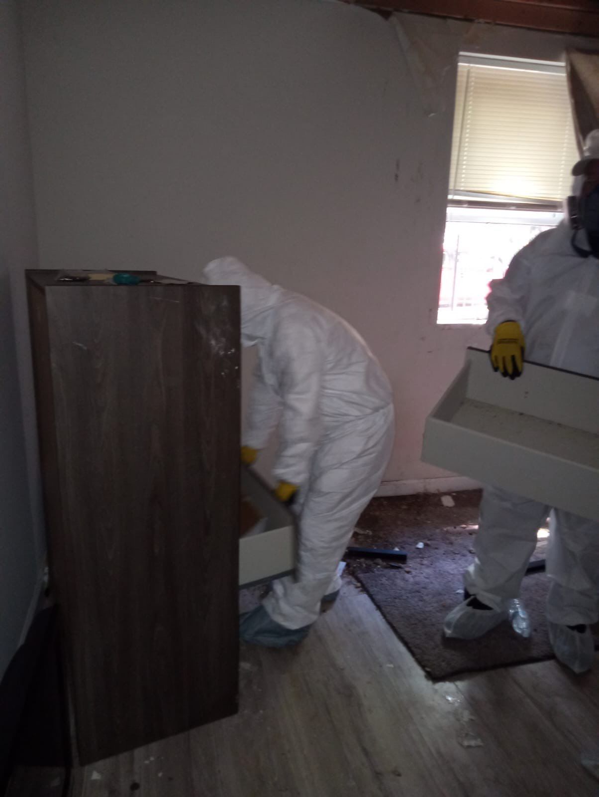 Water extraction equipment deployed during mold remediation to remove standing water from affected areas.