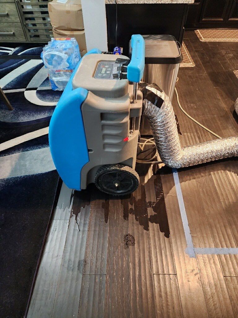 Dehumidification and air movement equipment positioned to dry structural cavities after water extraction.