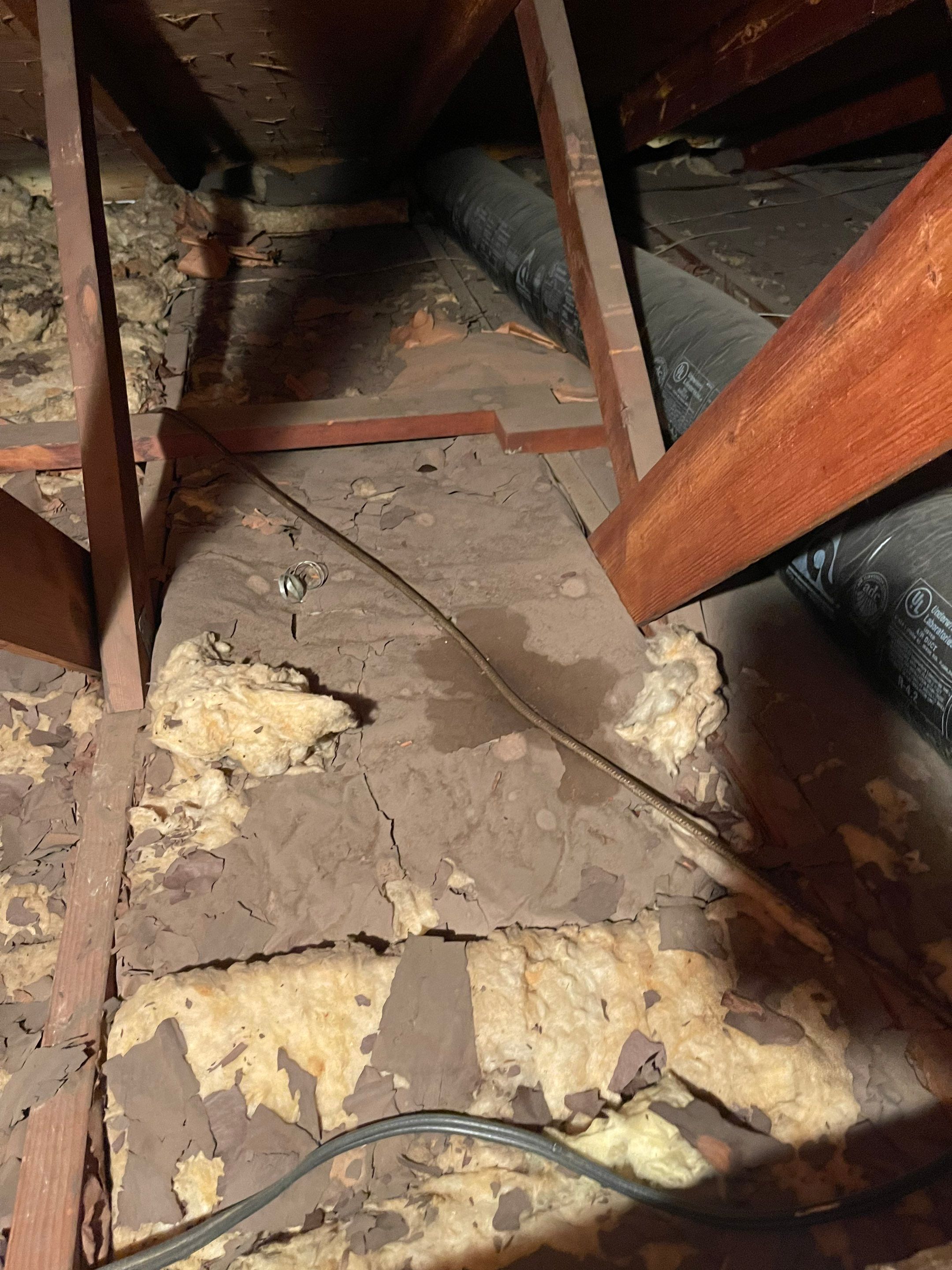 Final-stage structural drying nearing completion, with equipment removal and moisture verification underway.