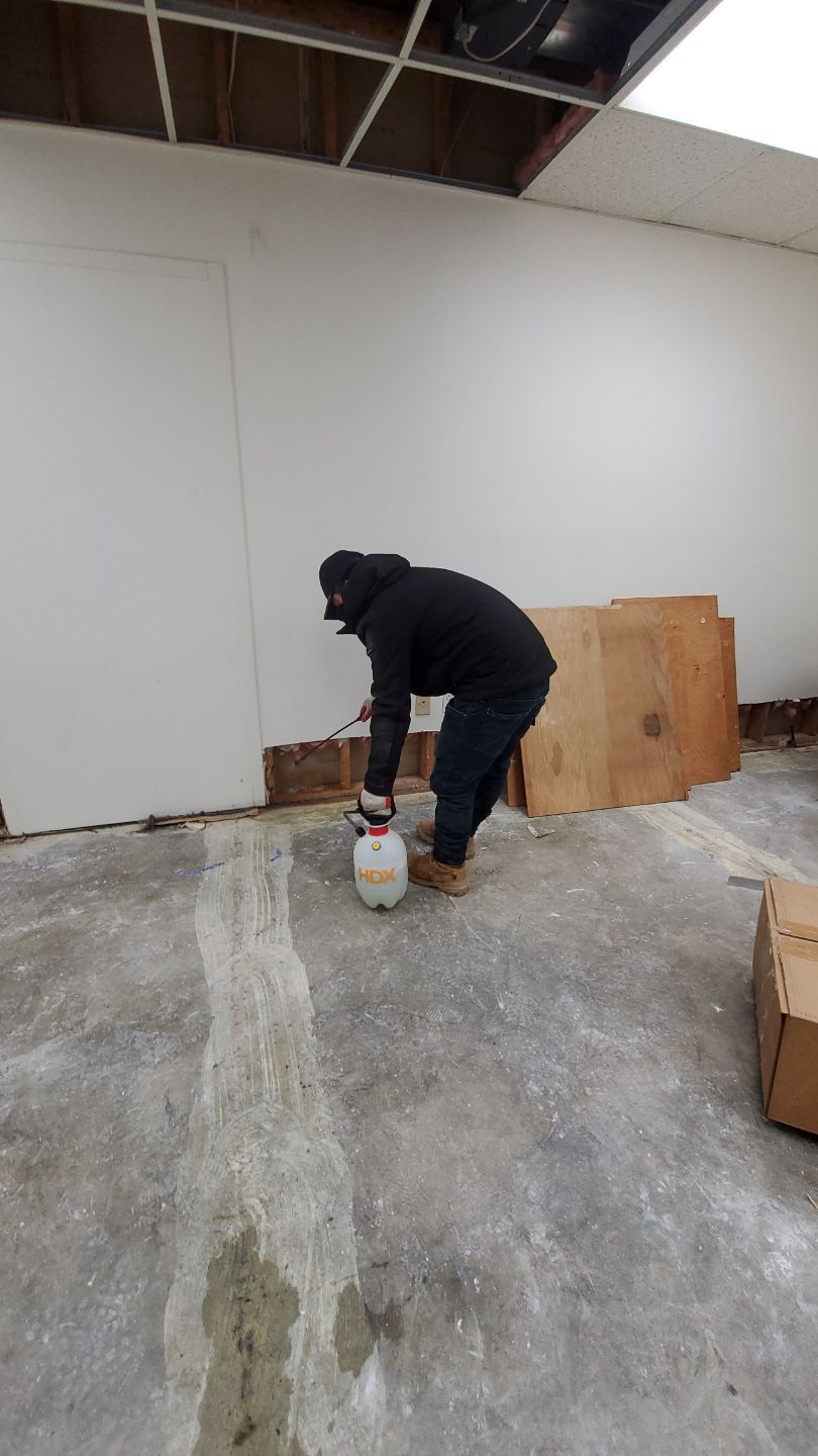 Ceiling damage assessment and preparation for repair following water intrusion in Hyattsville.