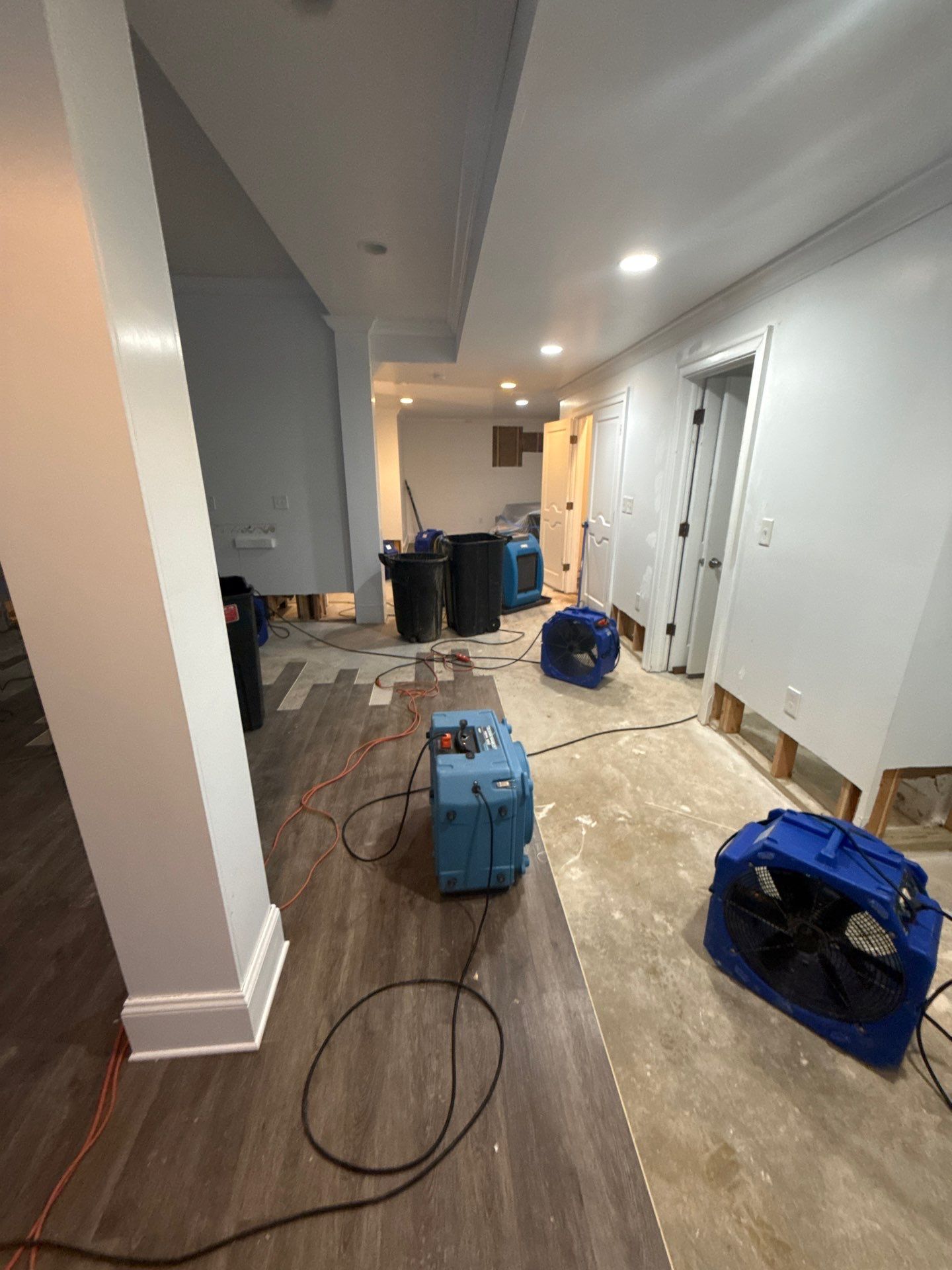 Standing water removal underway in Fort Washington mold remediation, initial assessment phase.
