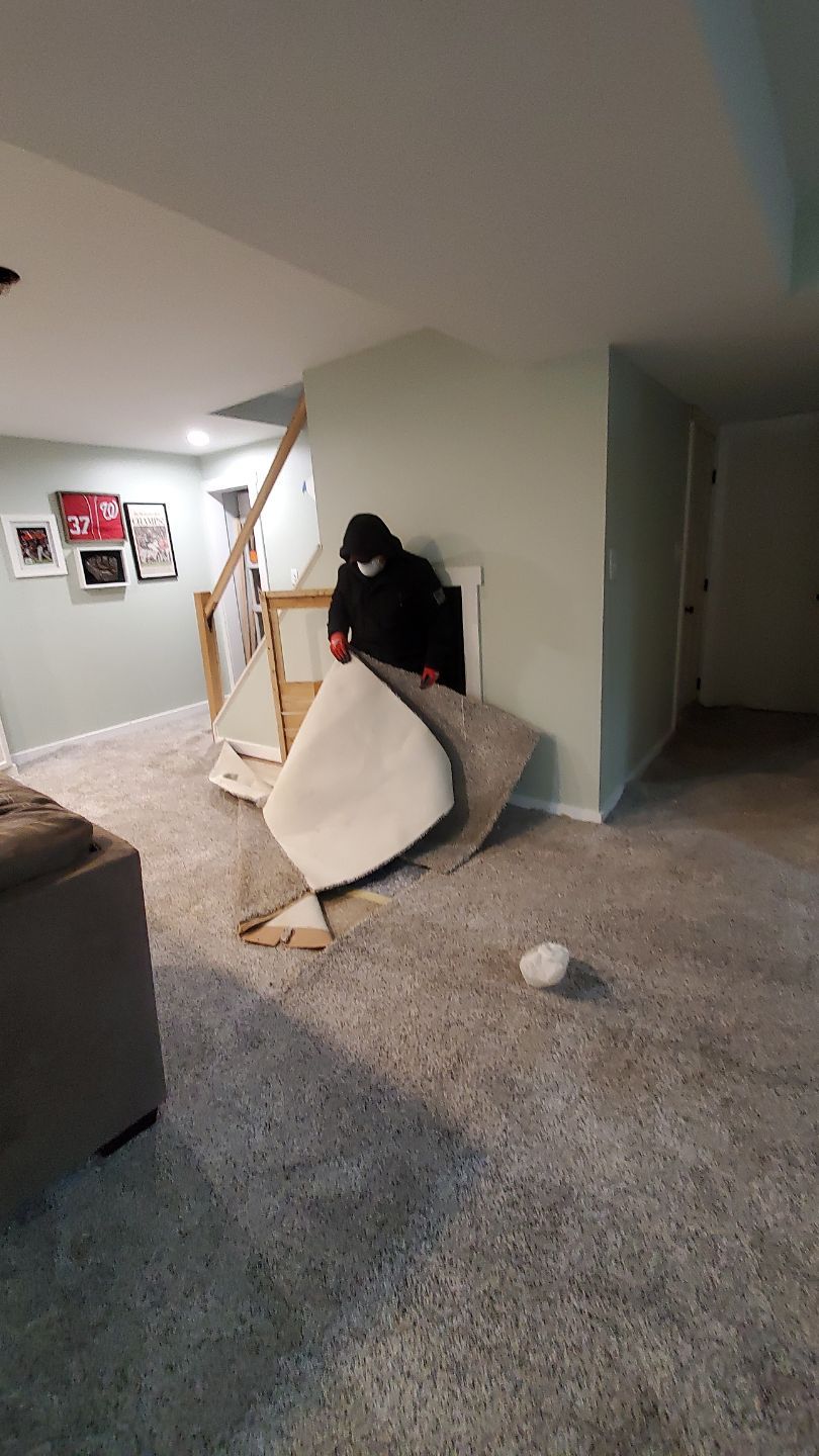 Flooring and carpet removal to expose and dry affected substrate.