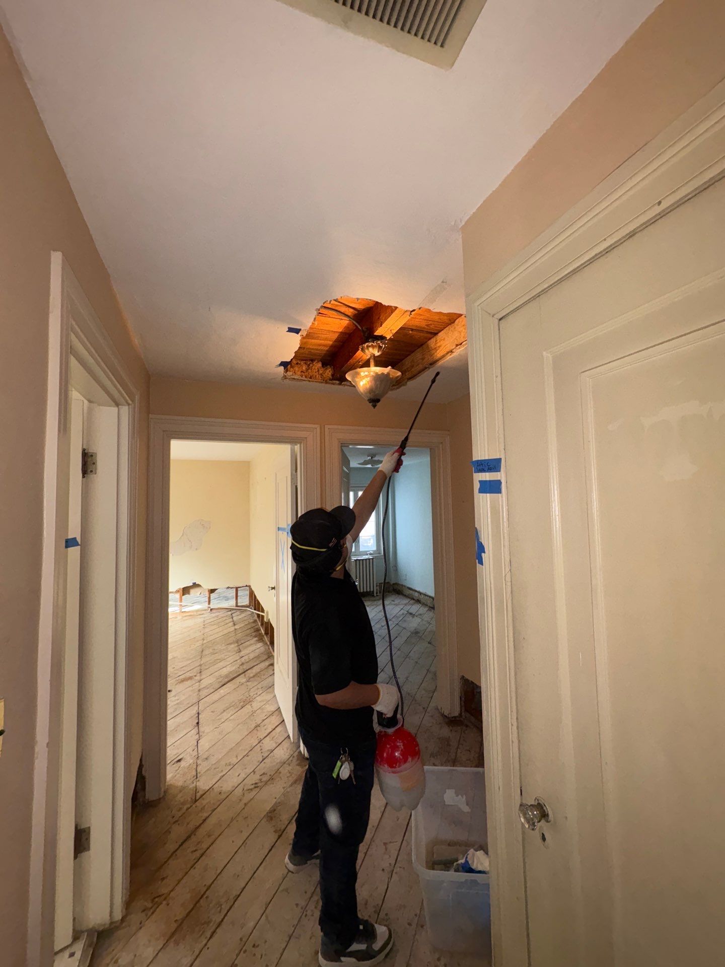 Air movers and drying apparatus deployed across affected areas during Washington mold remediation.