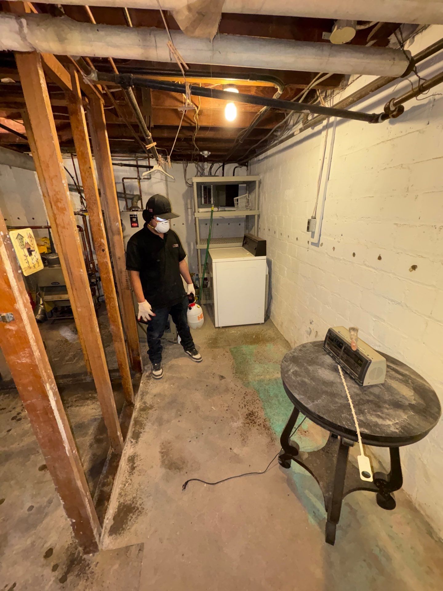 Structural monitoring and drying progression through the remediation sequence.