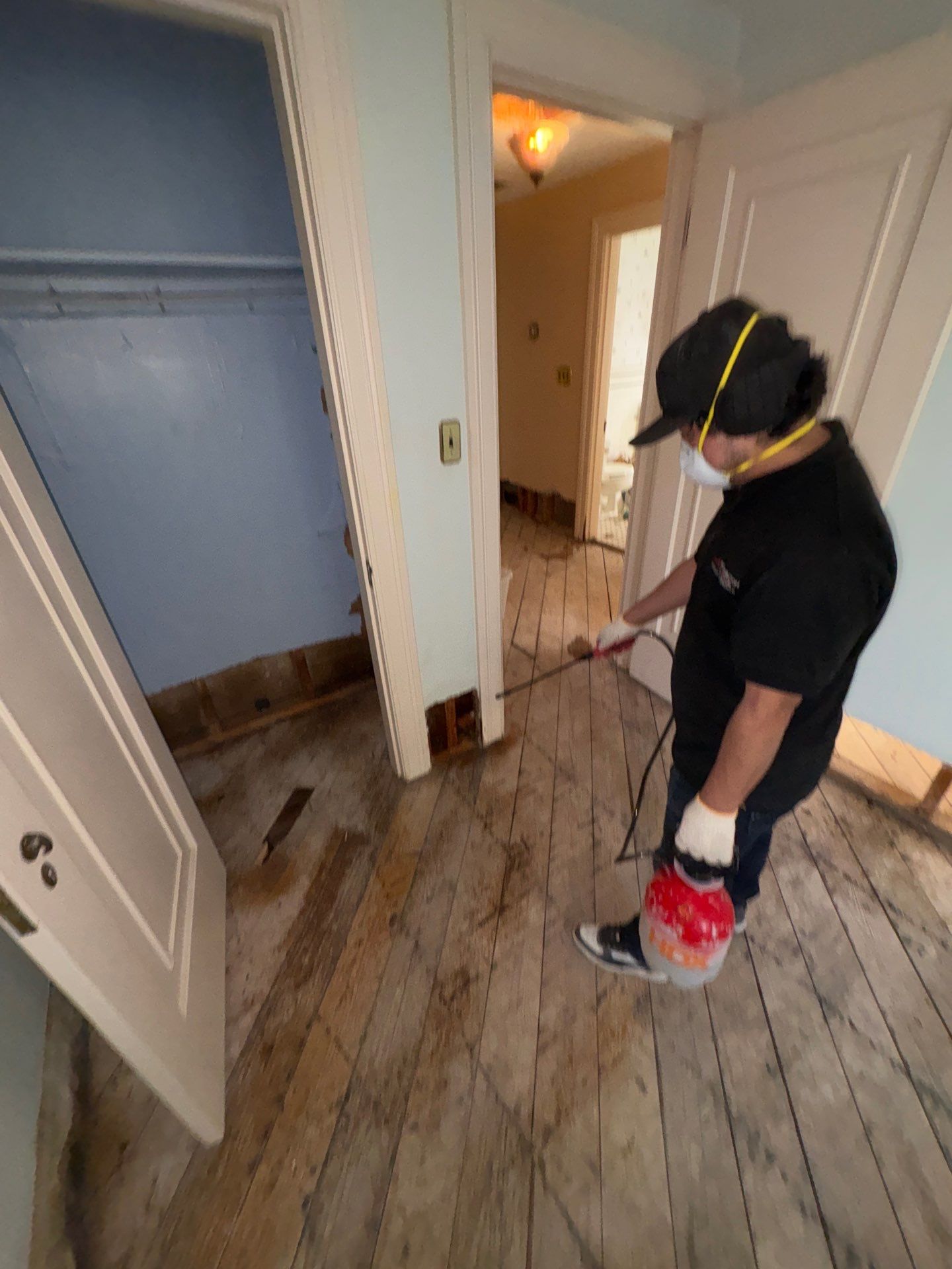 Initial mold remediation assessment in Washington showing structural drying setup and protected contents.