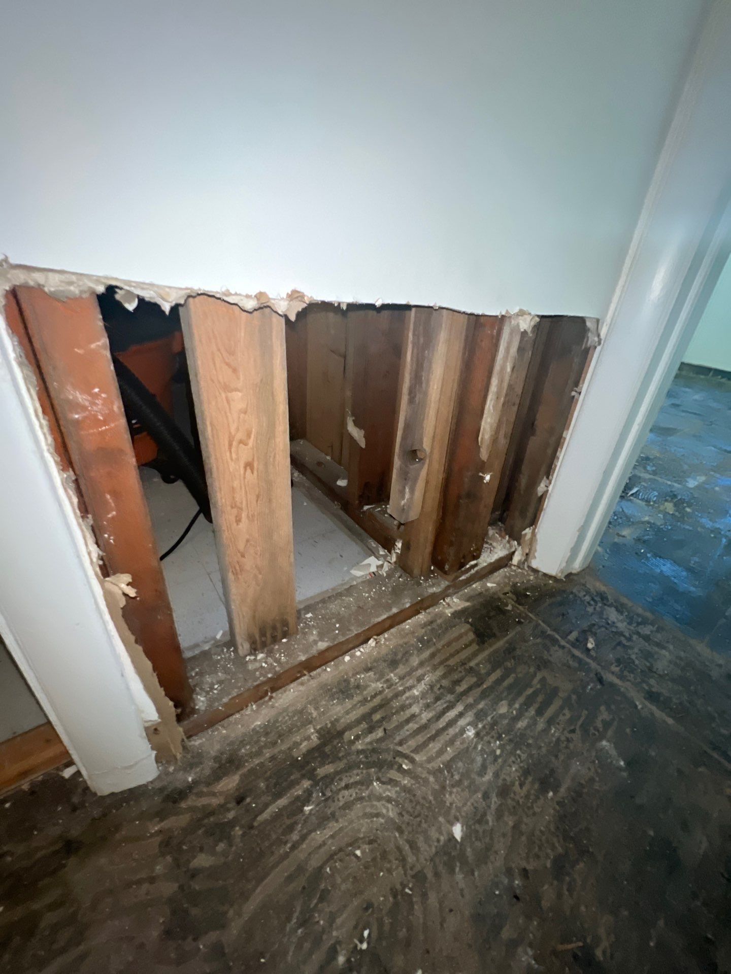 Affected baseboard sections marked and prepared for removal during mold remediation work in Chevy Chase.