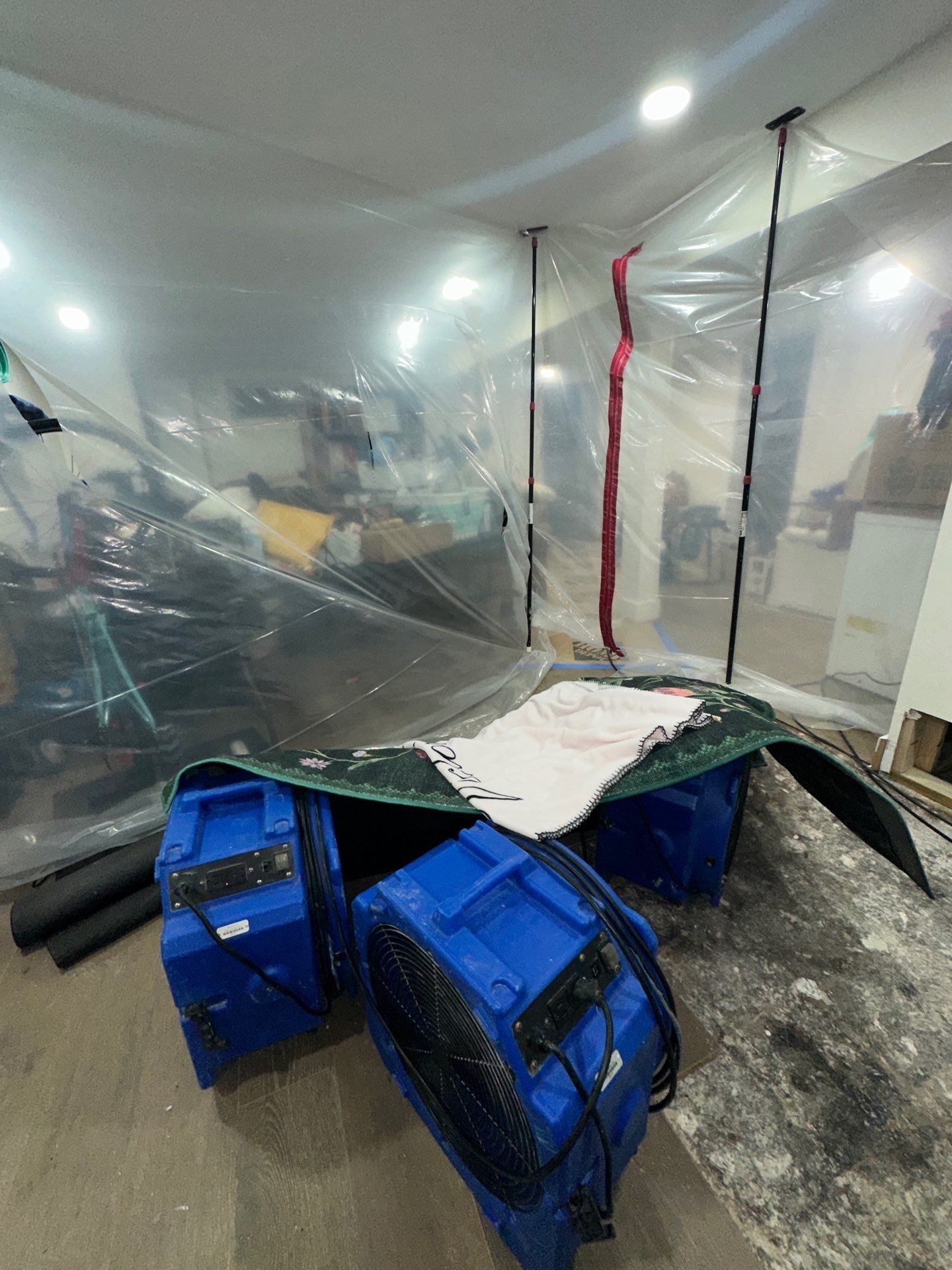 Containment barrier removed after mold remediation and flooring restoration complete.