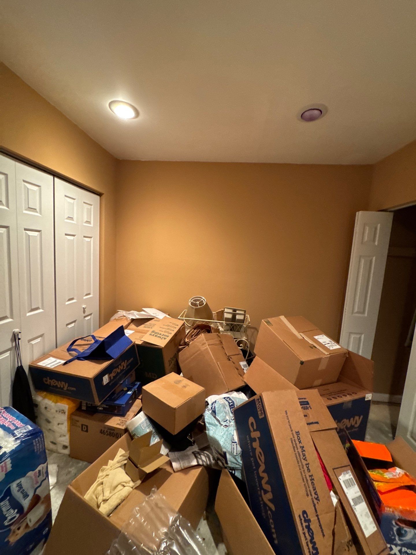 Affected ceiling material isolated and removed during Potomac mold remediation.