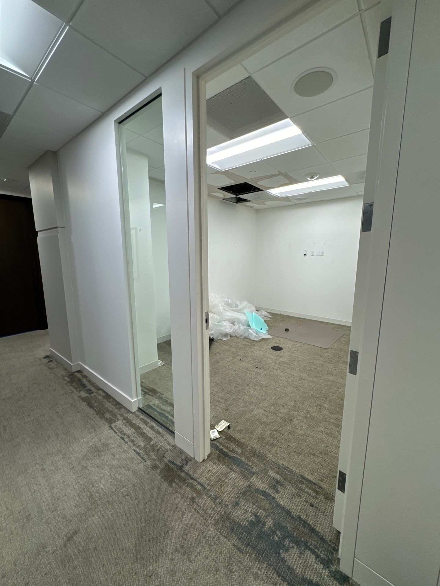 Final moisture verification confirming successful drying and mold remediation completion.