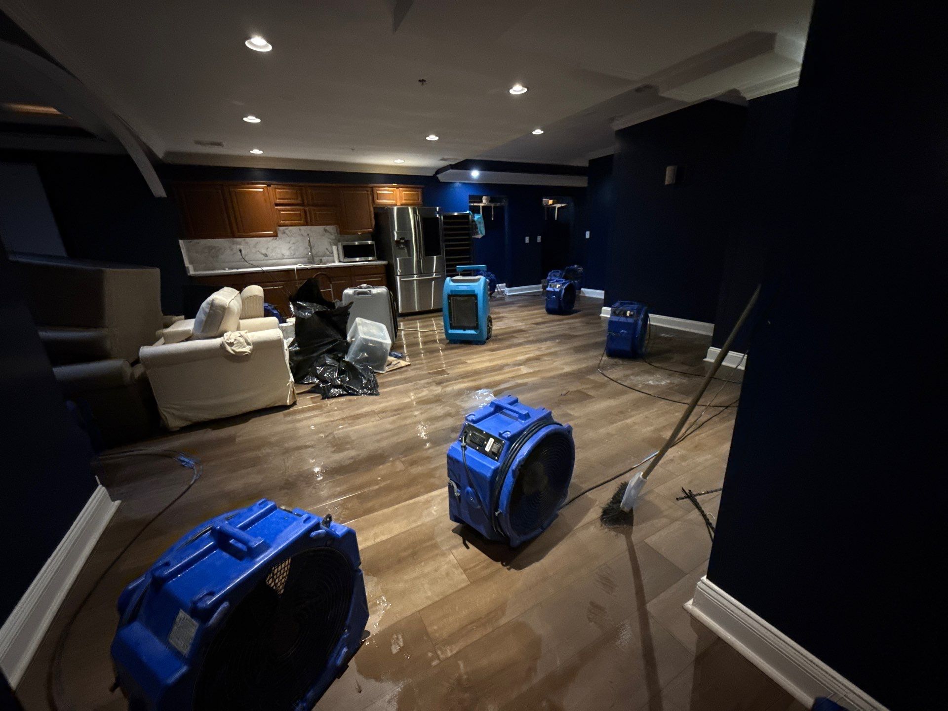 Standing water visible in Marlboro home during initial mold remediation assessment and extraction phase.