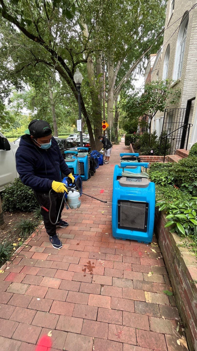 Mold remediation in Washington begins with water extraction and structural assessment.