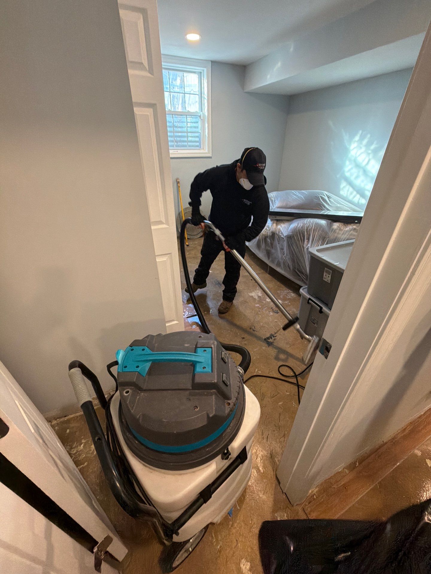 Standing water extraction underway during mold remediation in Washington.