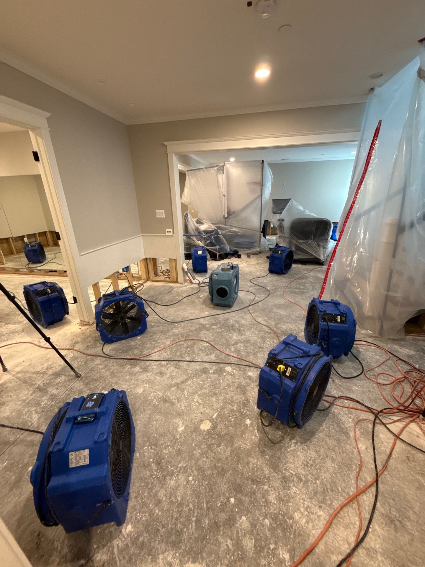 Standing water extraction and structural drying underway during mold remediation in Bethesda.