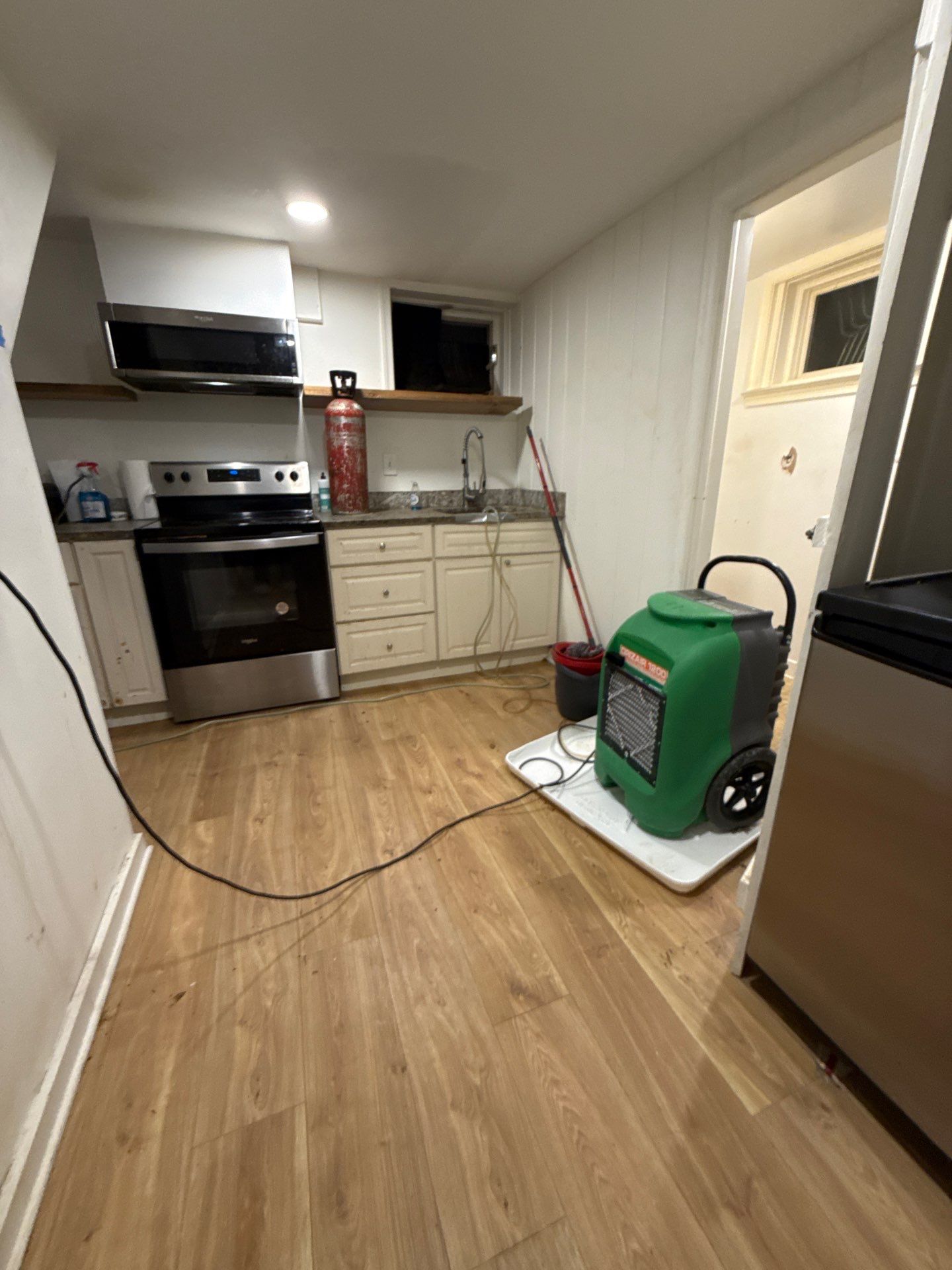 Carpet and subflooring assessment during water extraction phase of mold remediation work.