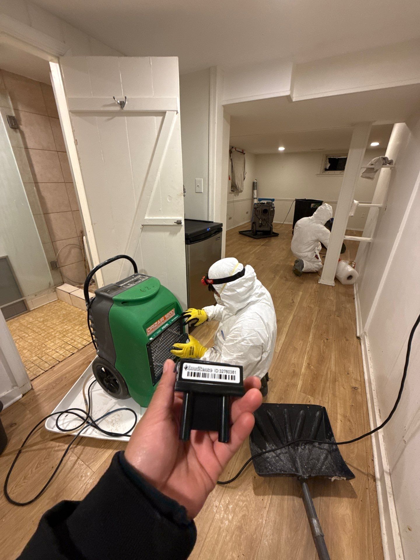 Standing water removal begins mold remediation in Northern Virginia home, extraction equipment deployed across affected flooring.