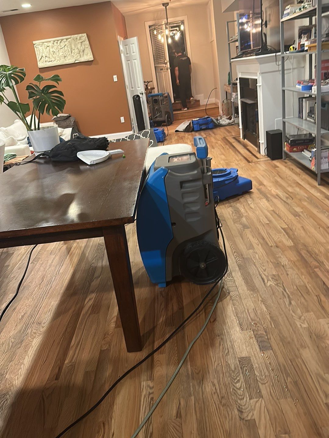Final moisture levels verified; mold remediation in Washington complete with surfaces prepared for restoration.