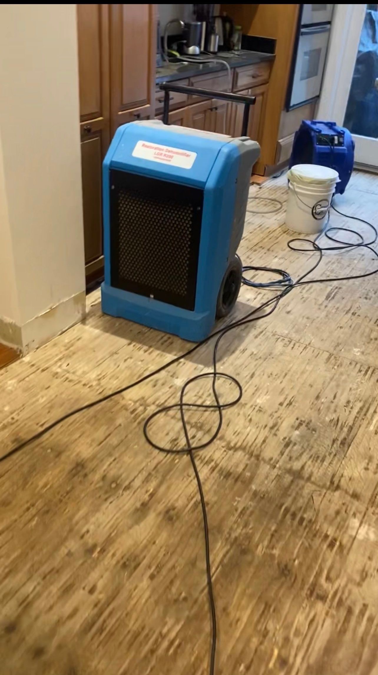 Moisture monitoring and air movement setup during mid-stage water restoration work.