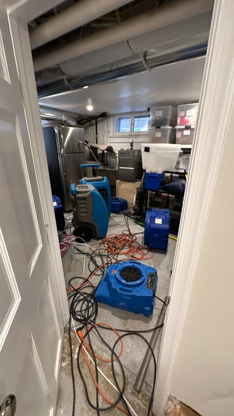 Final drying stage complete, structural integrity restored after water damage extraction and dehumidification.
