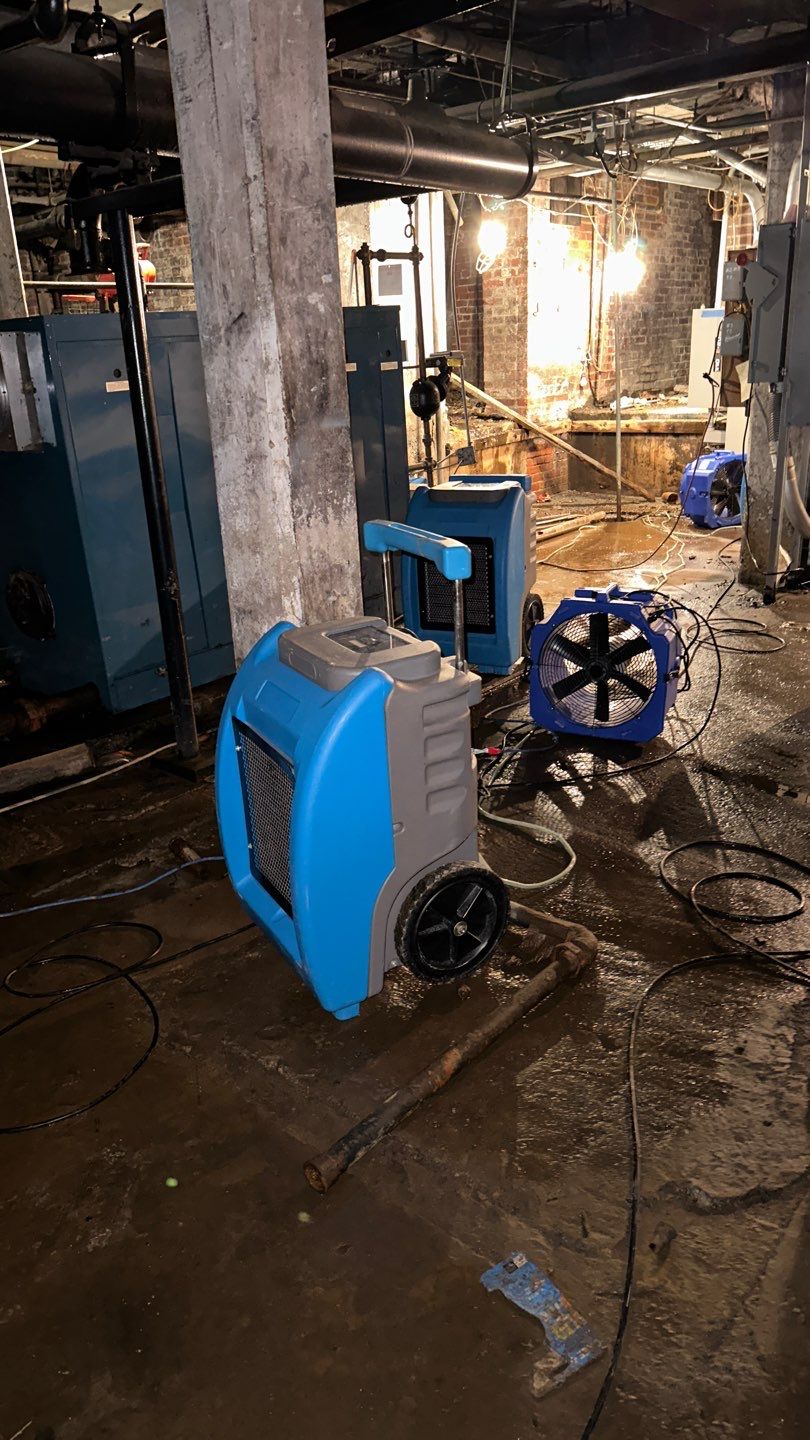 Continued dehumidification and structural drying in progress.