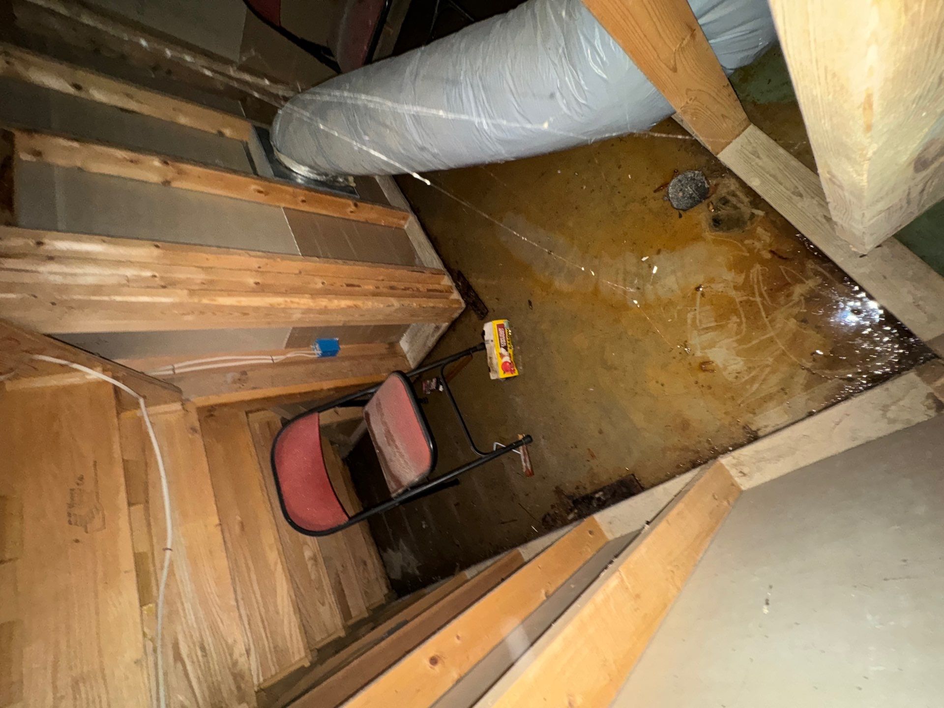 Mid-stage drying with dehumidifiers and extractors positioned for structural moisture removal.