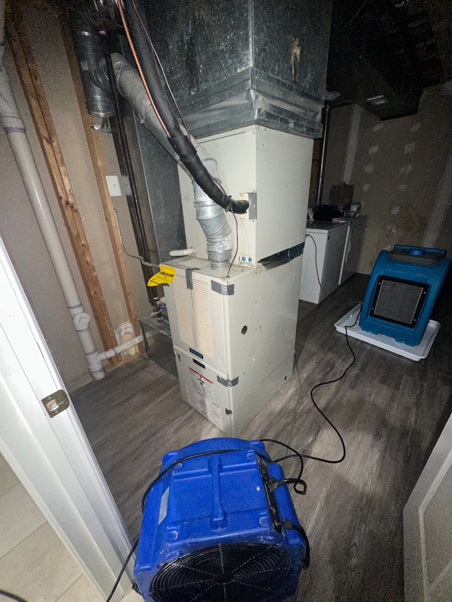 Mold remediation in Gaithersburg complete with wall replacement finished.