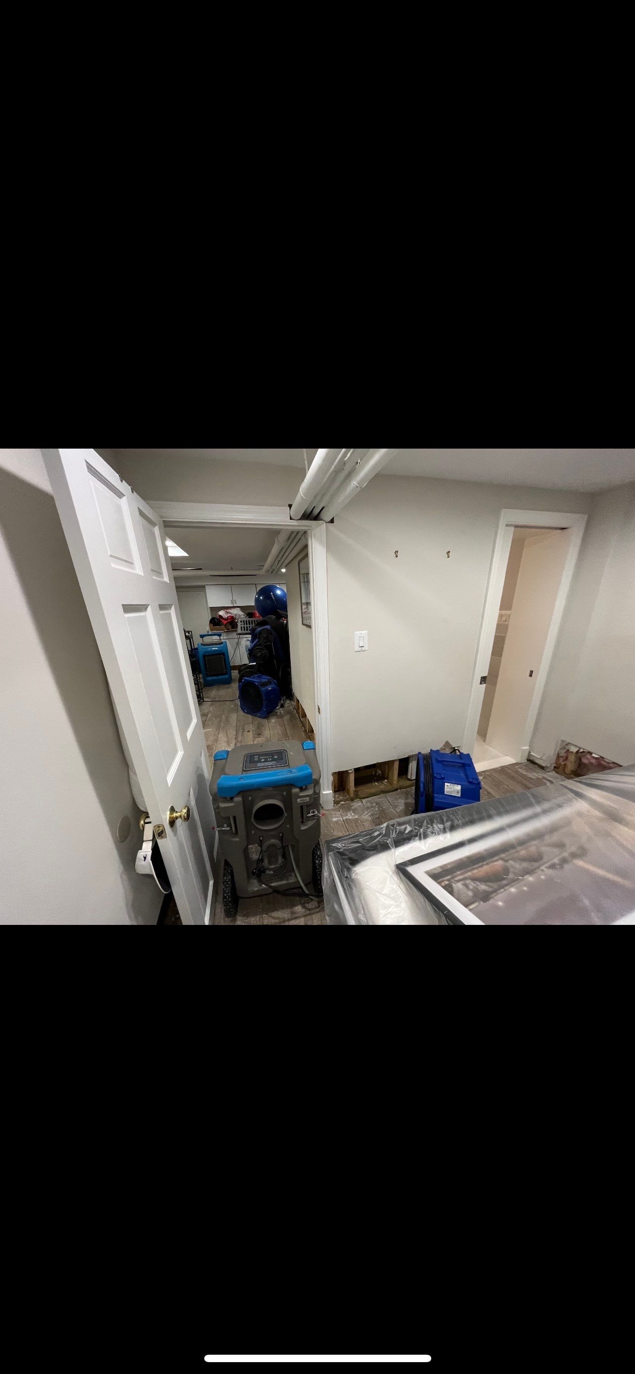 Water extraction equipment positioned for structural drying during Washington mold remediation work.