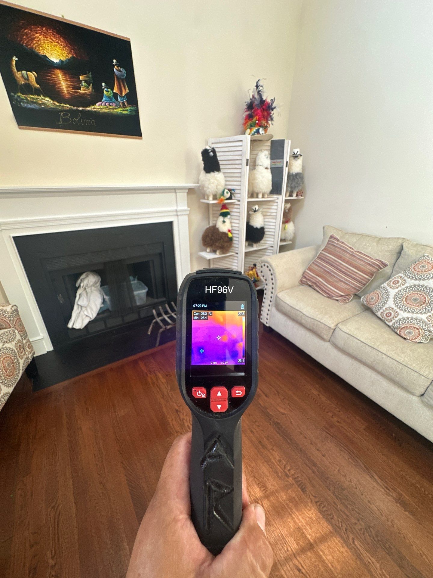 Thermal imaging inspection reveals moisture patterns in Fort Washington wall cavity during mold remediation assessment.