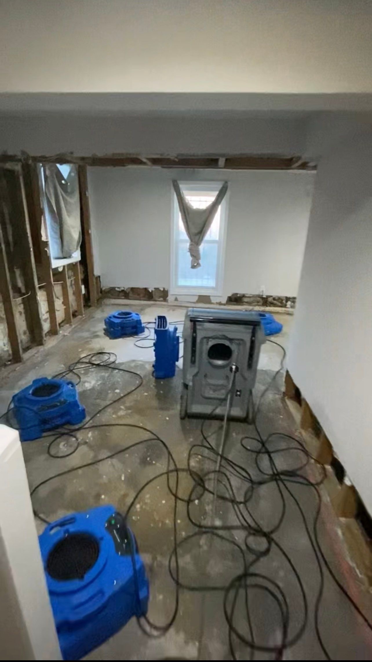 Standing water extraction and dehumidification equipment deployed during mold remediation in Washington.
