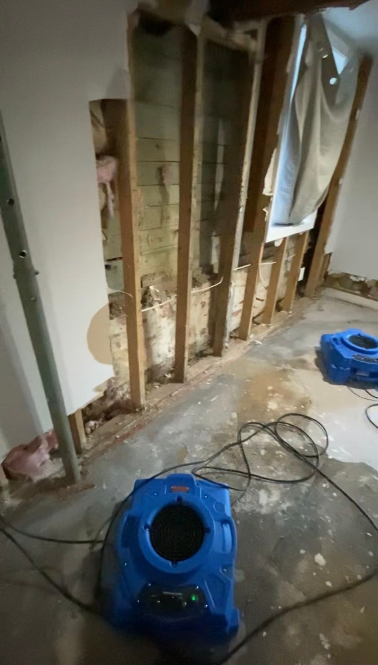 Final-stage structural drying completing mold remediation in Washington.