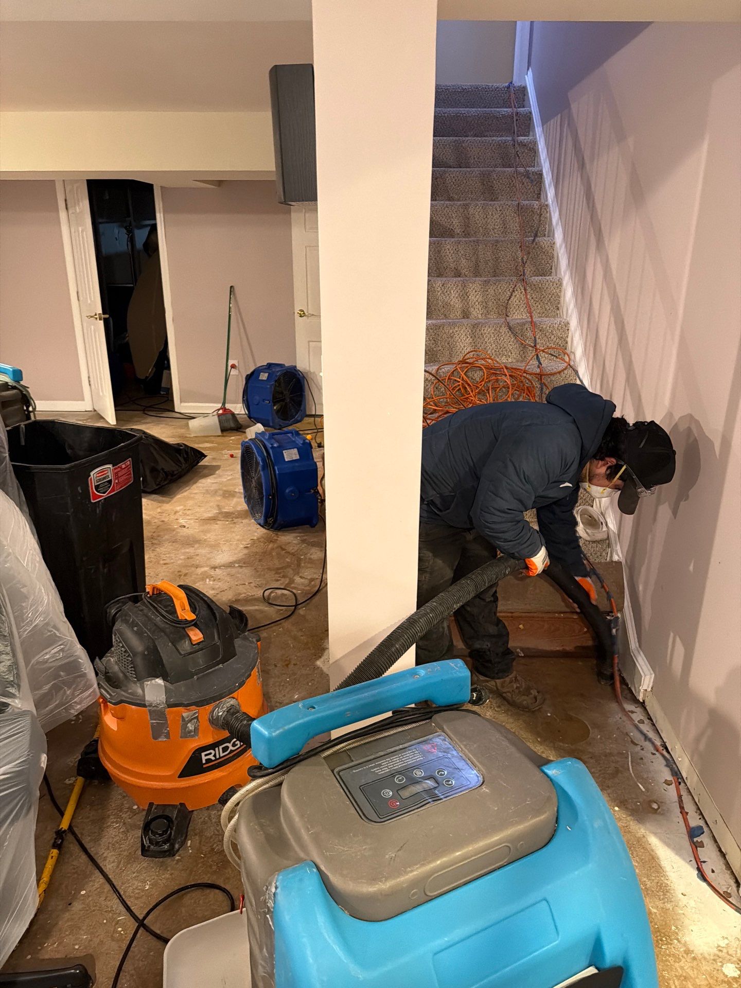 Final sanitization and restoration of flooring following mold remediation completion in Bethesda.