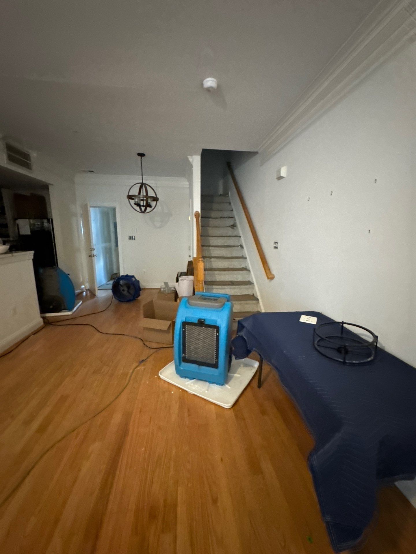 Extraction equipment positioned for water removal and structural drying in mold remediation work.