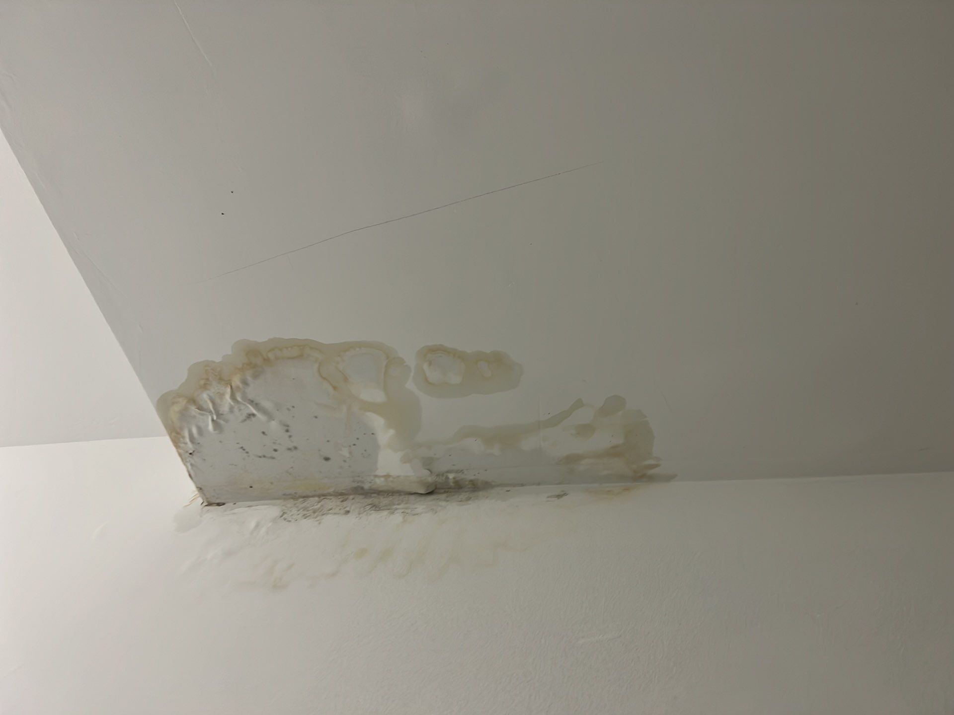 Ceiling repair completed, restoration of affected area finished in Washington water damage job.