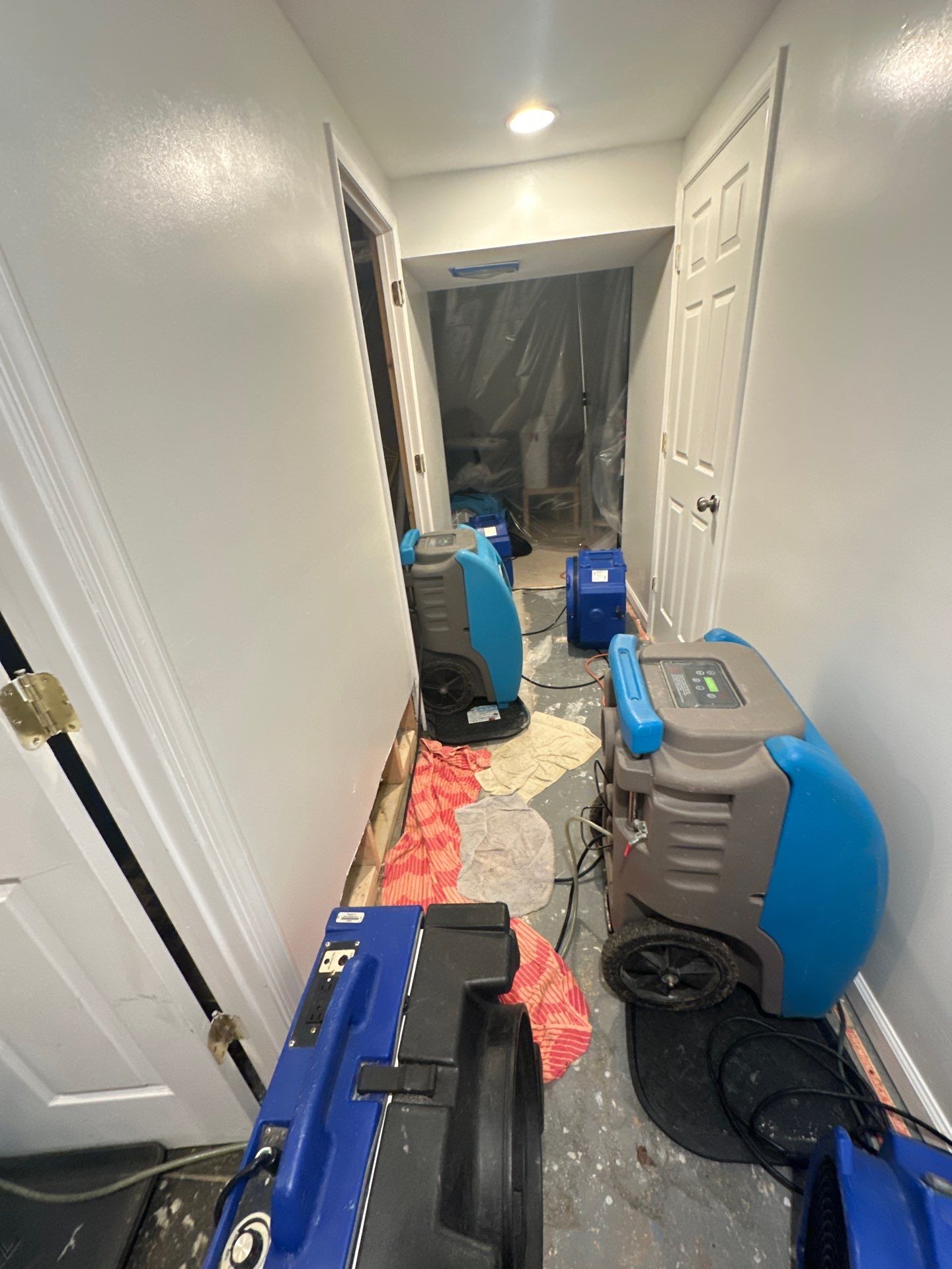 Containment and treatment in progress as mold remediation continues across the affected space.